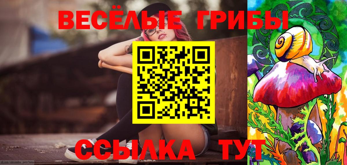 Псилоцибиновые грибы Cubensis Зеленогорск