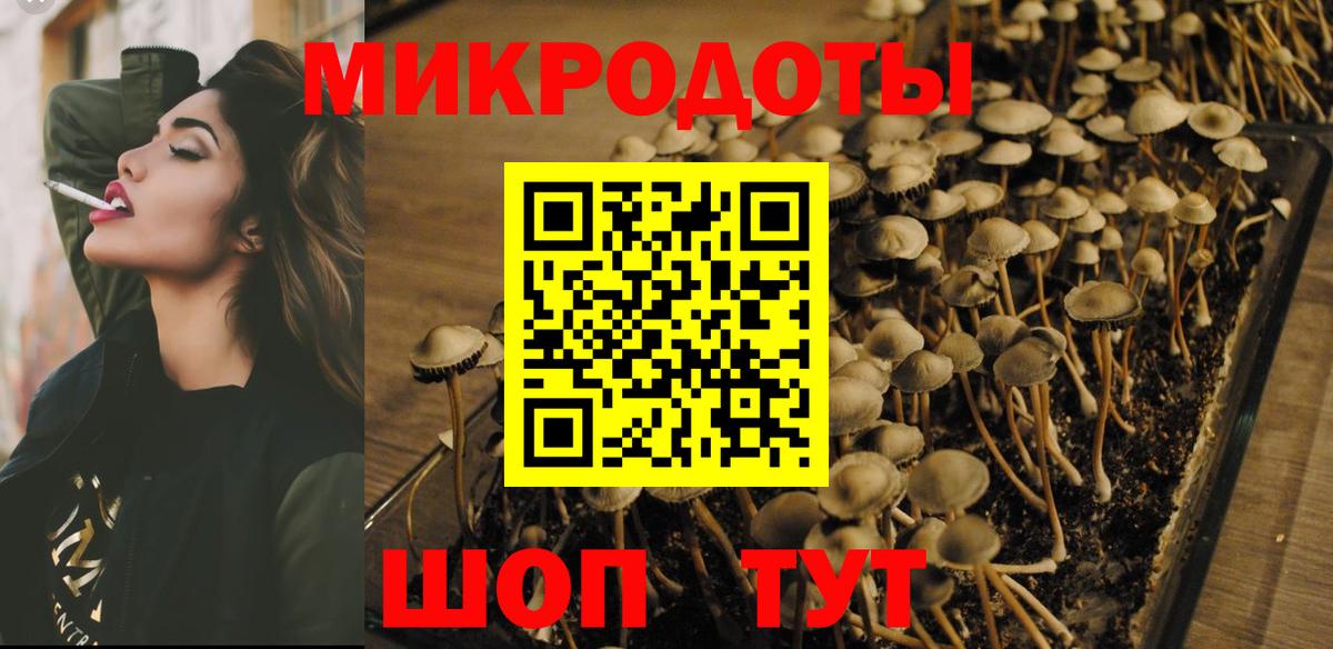 Зеленогорск  Псилоцибиновые грибы GOLDEN TEACHER  Галлюциногенные грибы Psilocybe  Вход с VPN 